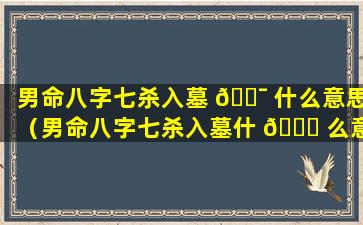 男命八字七杀入墓 🐯 什么意思（男命八字七杀入墓什 🍀 么意思呀）